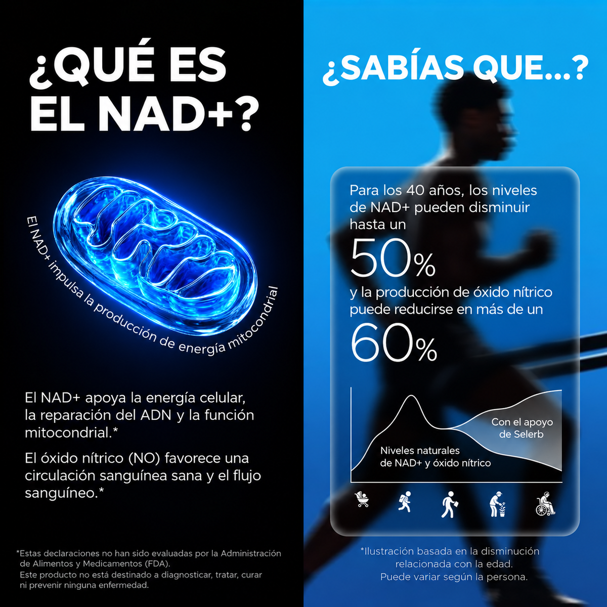 Selerb® NAD+ Liposomal Men’s Complex 1000 mg