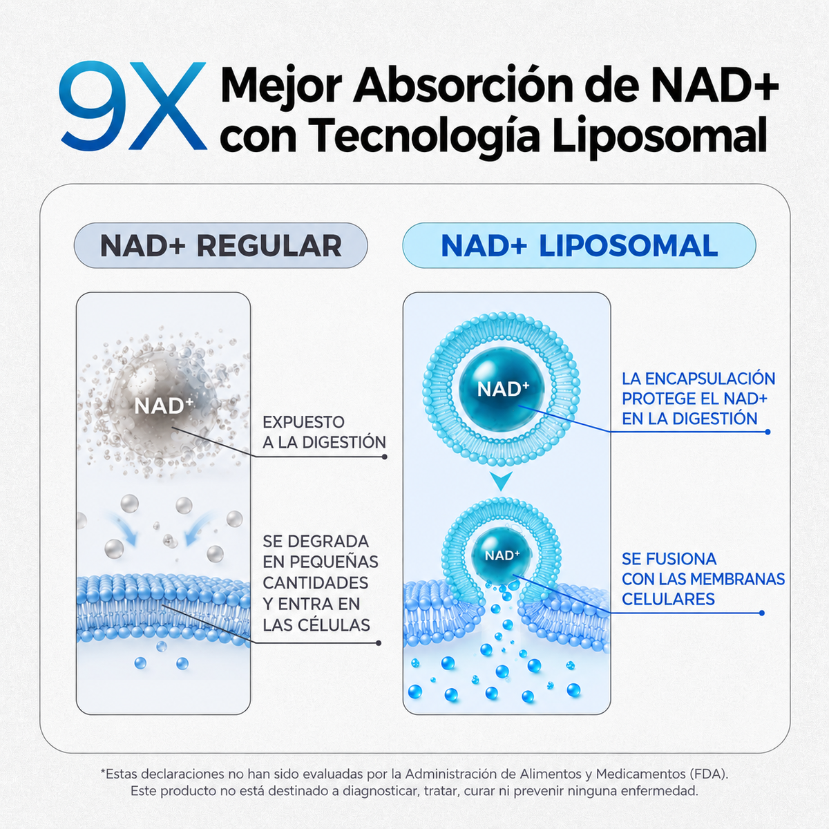 Selerb® NAD+ Liposomal Men’s Complex 1000 mg